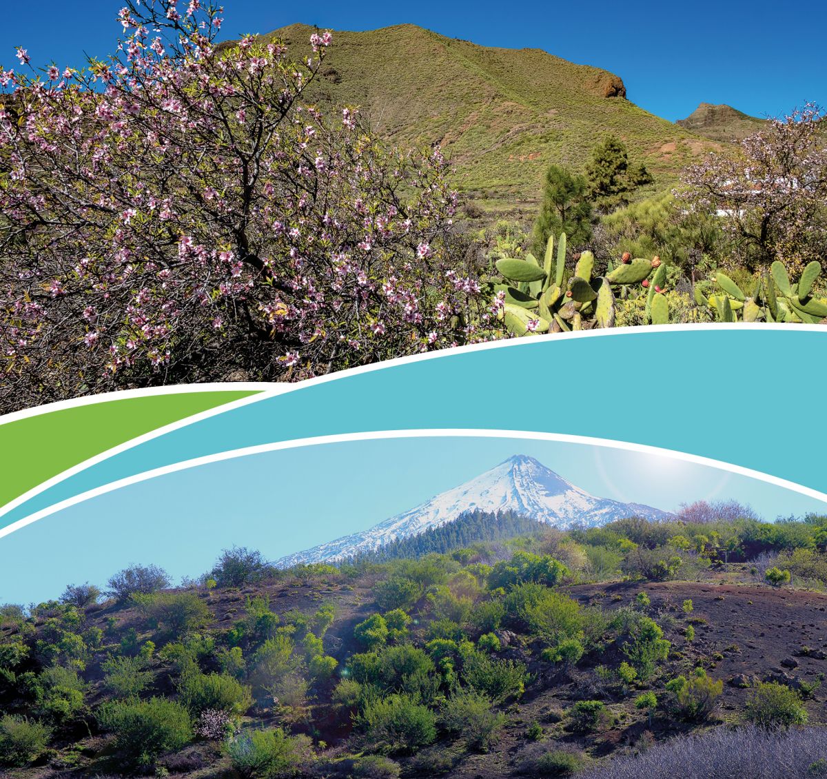 Jornada de lanzamiento de la ruta ECO-TUR “Entre Almendros y Volcanes”