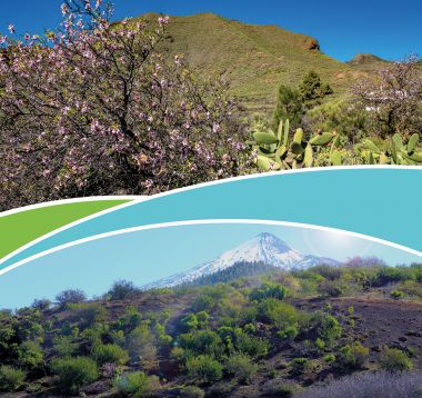 Jornada de lanzamiento de la ruta ECO-TUR “Entre Almendros y Volcanes”